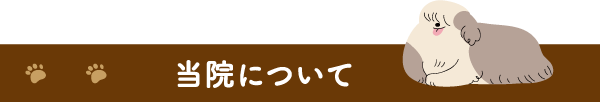 当院について