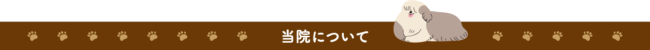 当院について